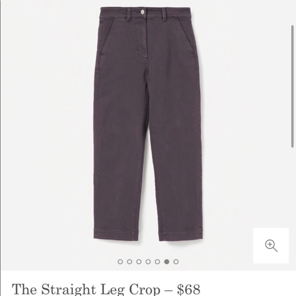 Everlane Straight Leg Crop